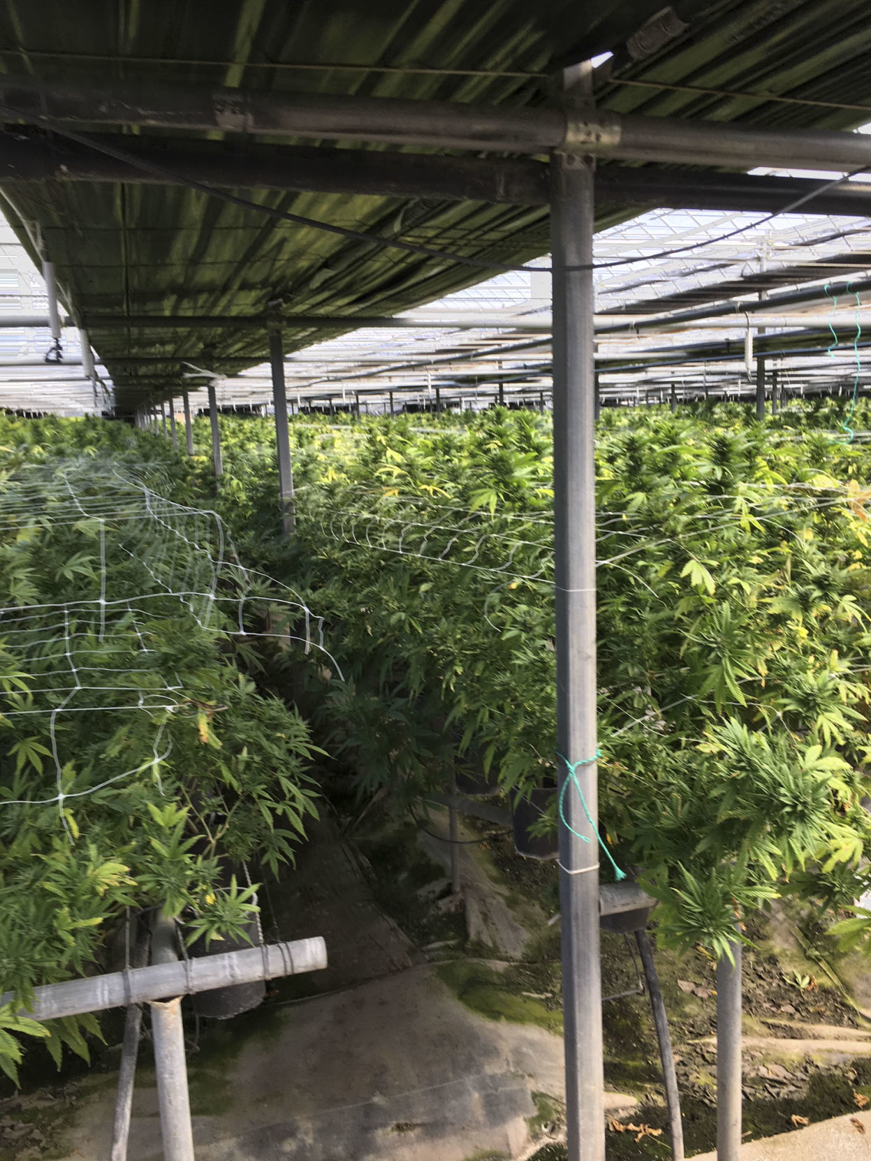 032819 Harvest raid 03.jpg